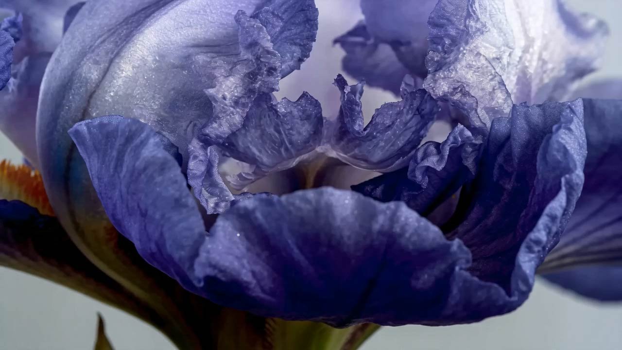 Byredo Inåt